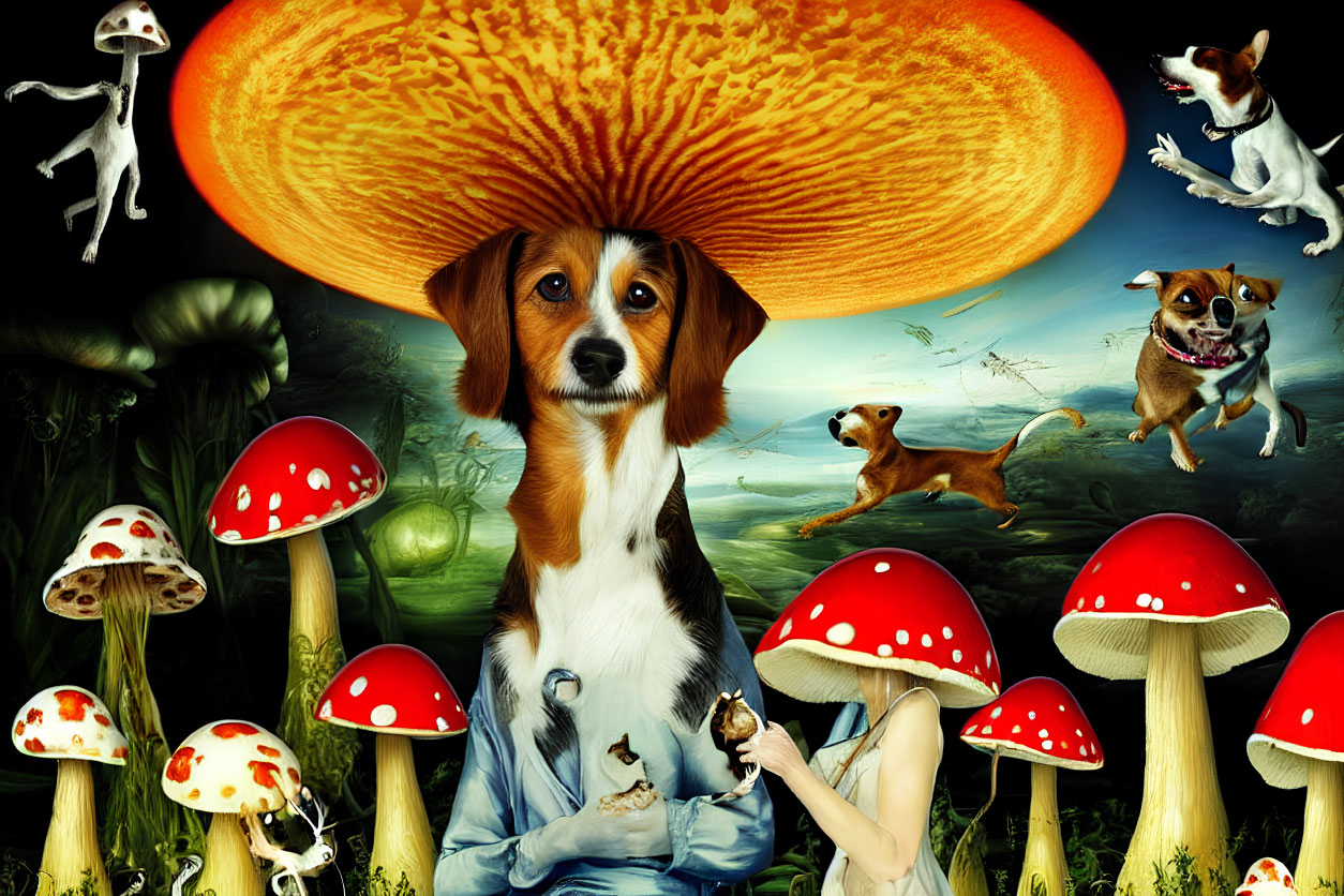 Whimsical montage featuring large dog with mushroom cap, smaller dogs, mushrooms, pastoral background, and
