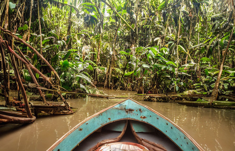 Blue canoe navigating narrow waterway in dense tropical vegetation