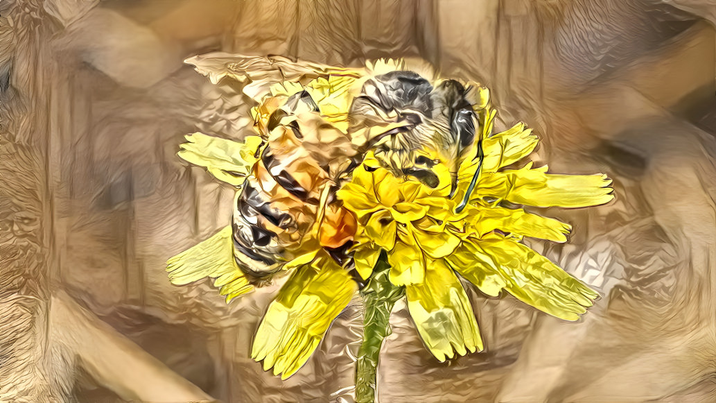 Bee on Dandelion 