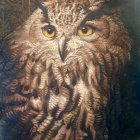 Detailed illustration of majestic owl with brown feathers and orange eyes in foliage.