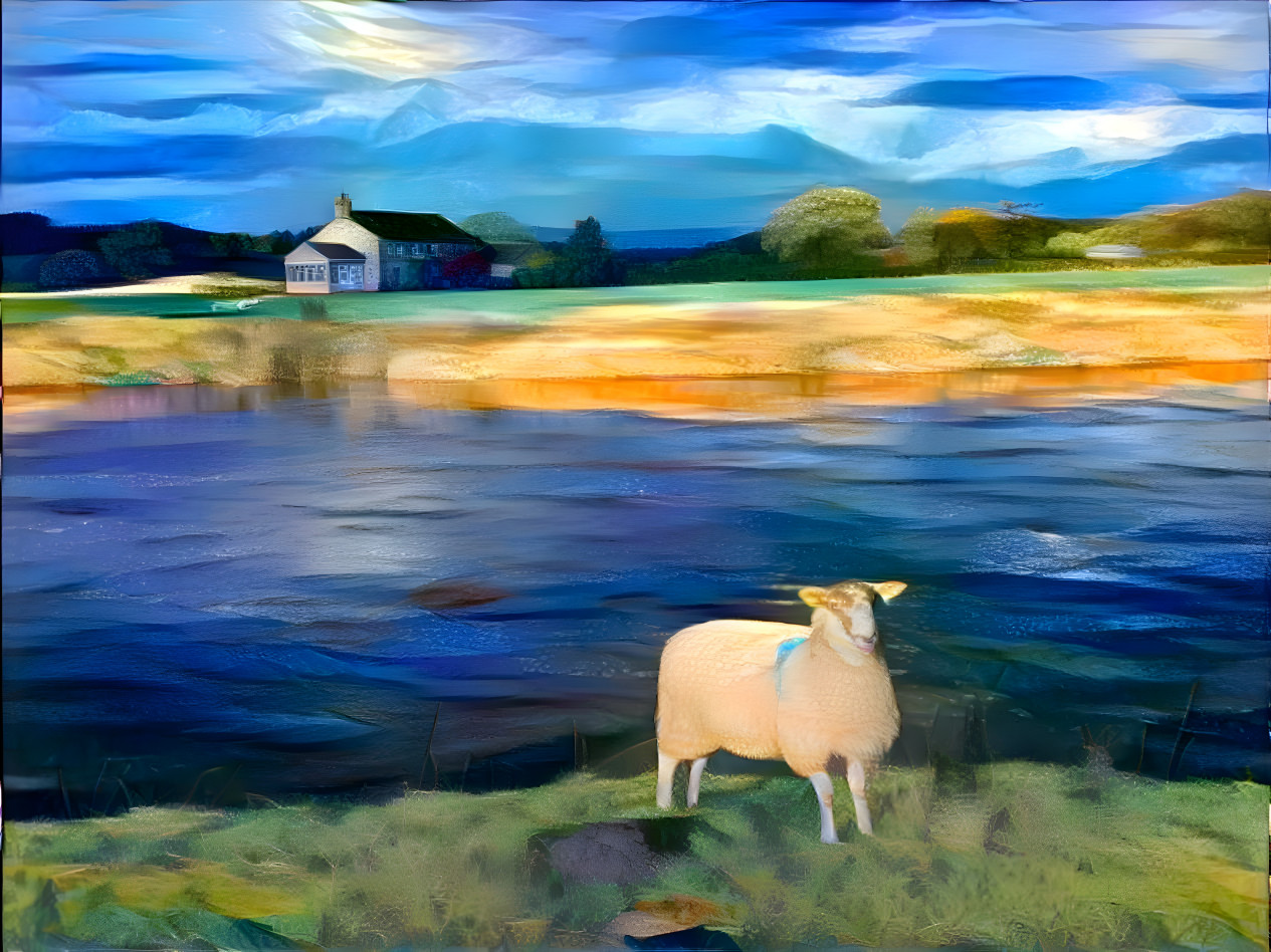 Sheep by the River Ribble
