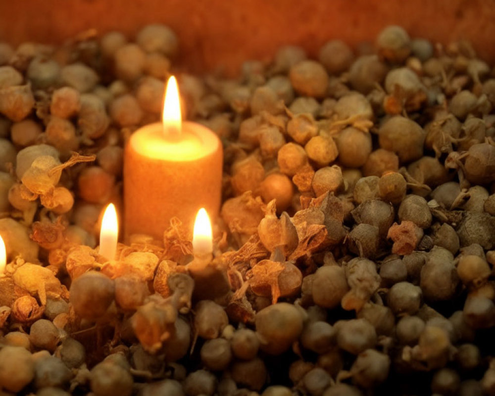 Two lit candles on dried pepper seeds, casting warm glow