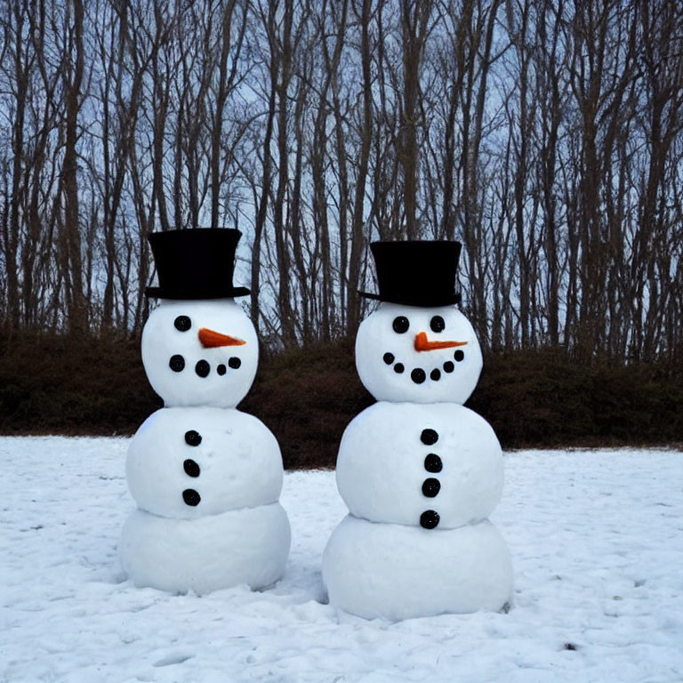 Snowmen with Top Hats and Branch Arms in Snowy Winter Scene