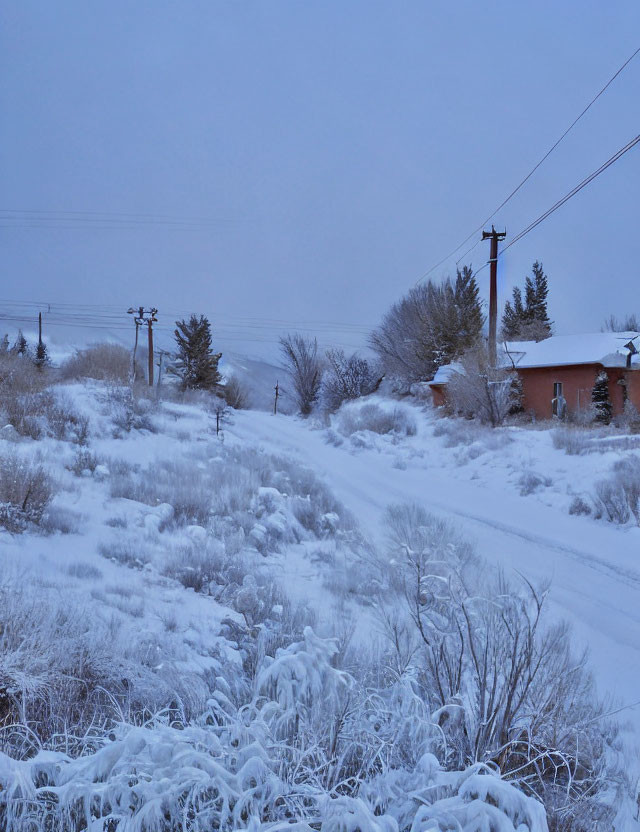 Snow-covered winter scene with winding road and distant homes under overcast sky