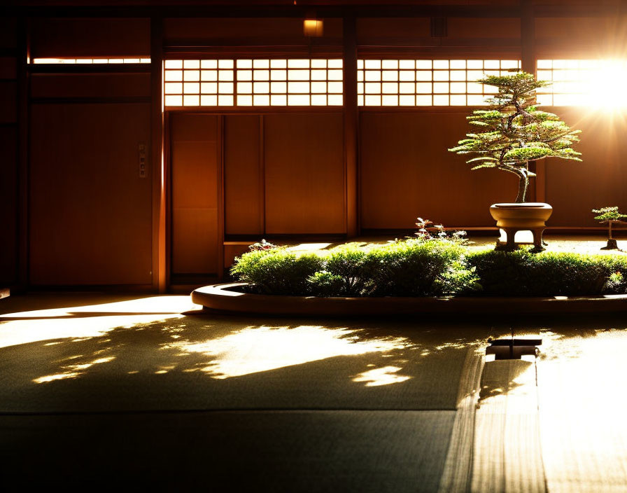 Traditional Japanese room with tatami mats, shoji screens, and bonsai plant