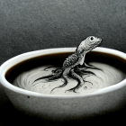 Lizard on Edge of Coffee Cup with Shadow on Liquid Surface