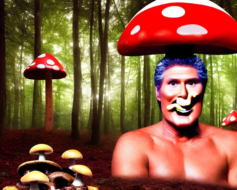 Colorful surreal forest scene with oversized mushrooms and stylized male figure blending in.