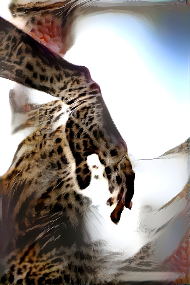 Tales of the Leopard Woman