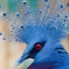 Detailed painting of blue Victoria crowned pigeon with vibrant red eyes on floral background