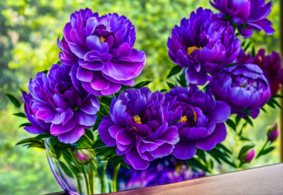 Lush Purple Peonies in Clear Vase on Blurred Background