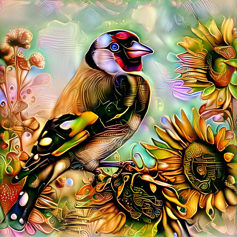 Bird of many colors