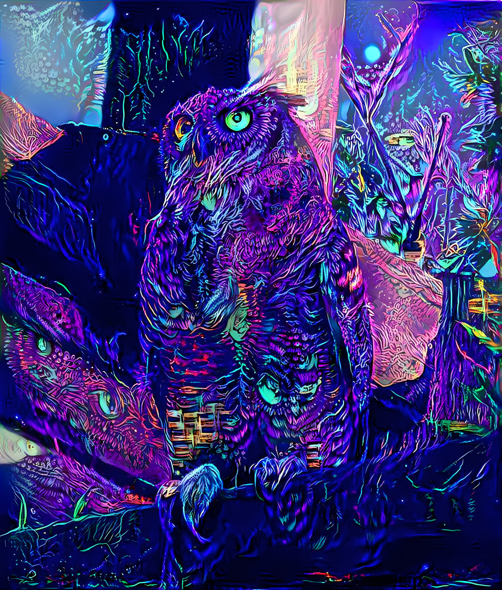 Barbetta the Owl