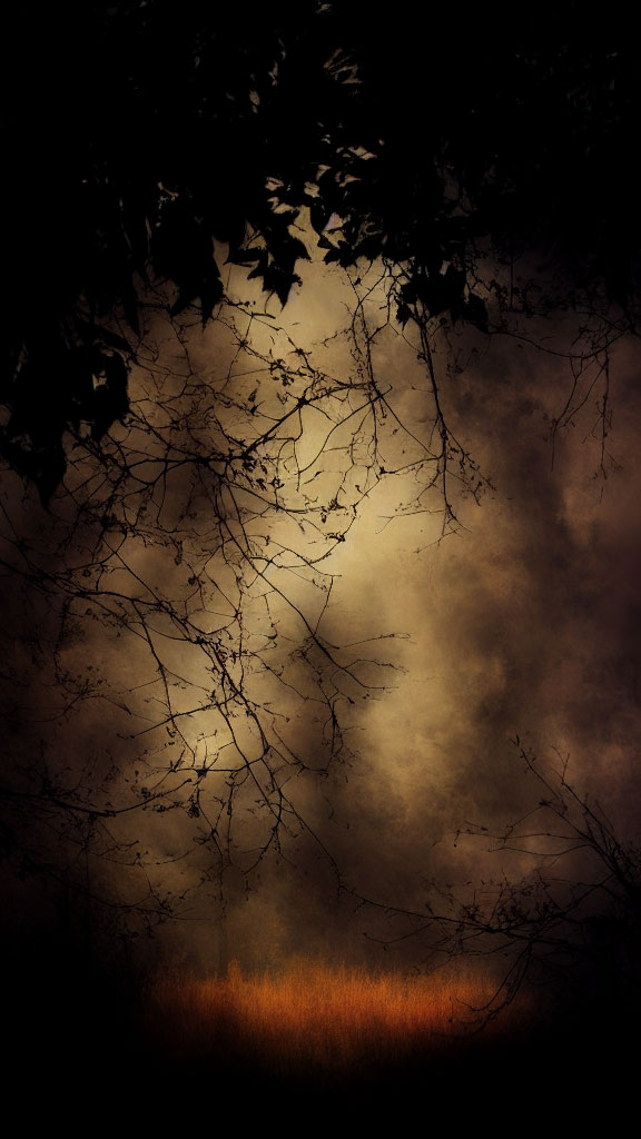 Dark Forest Silhouettes Against Sepia Background with Mysterious Light