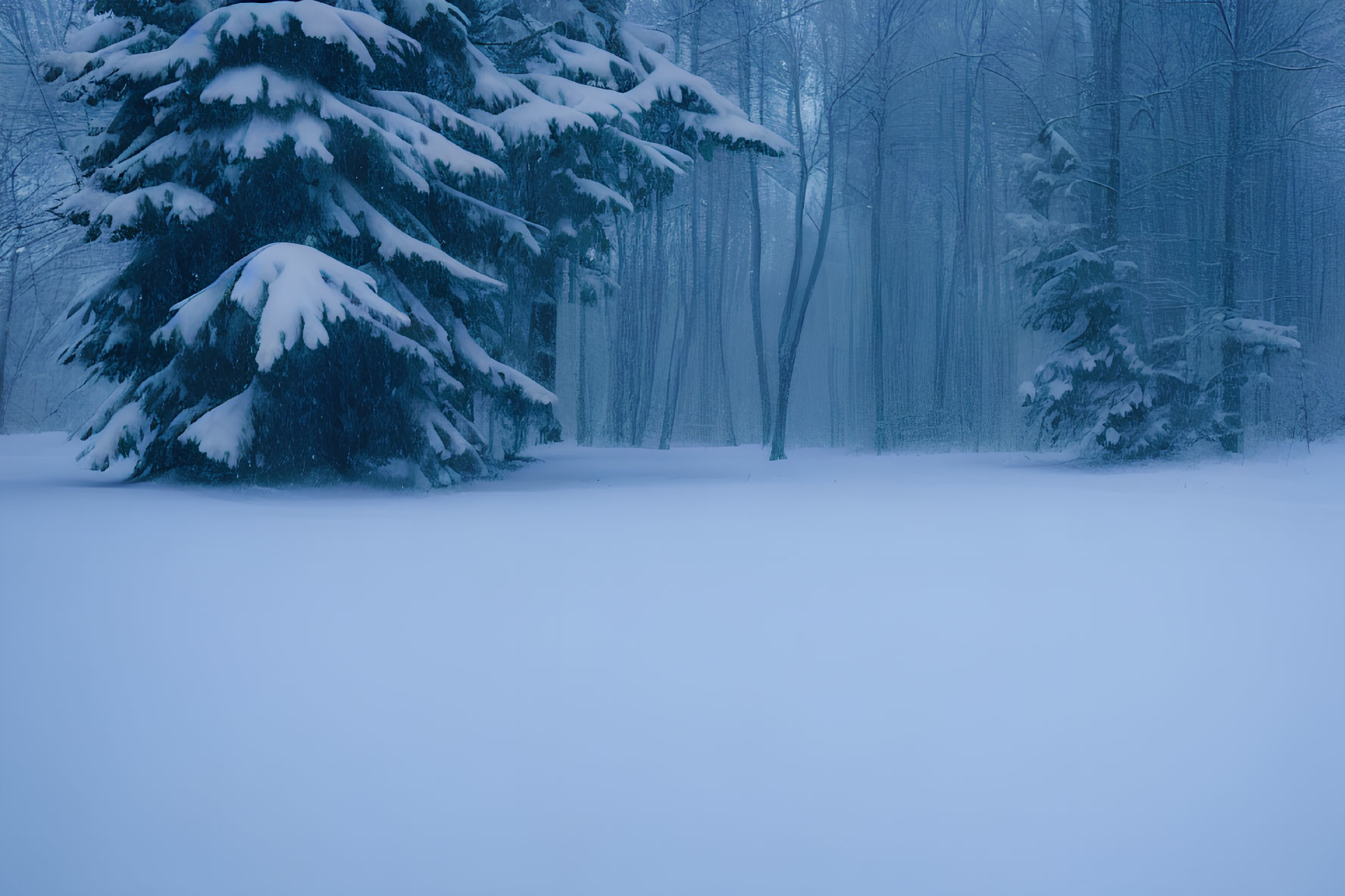 Serene winter forest with snow-covered trees and misty blue atmosphere