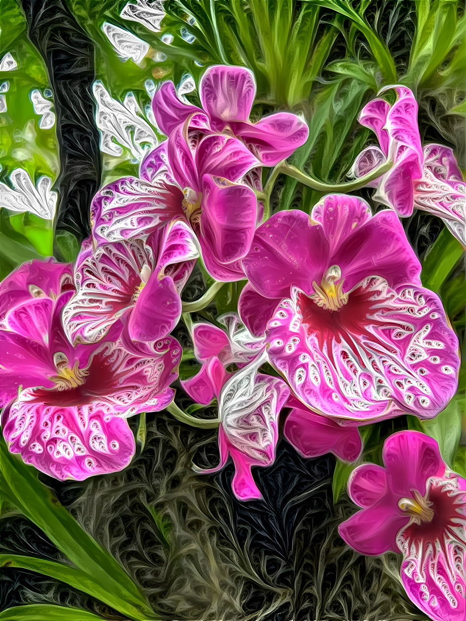 Orchid Extravaganza 