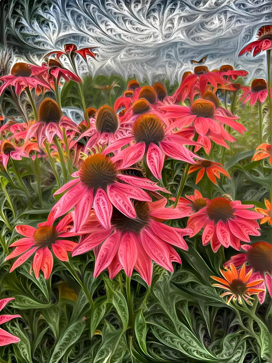 Cone Flowers Composition