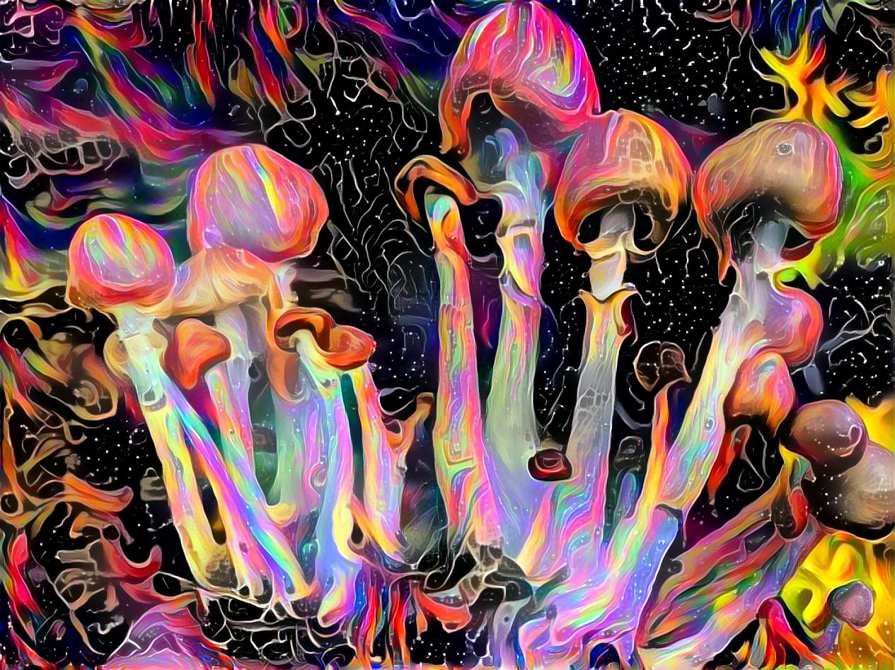 Fantastical Fungi