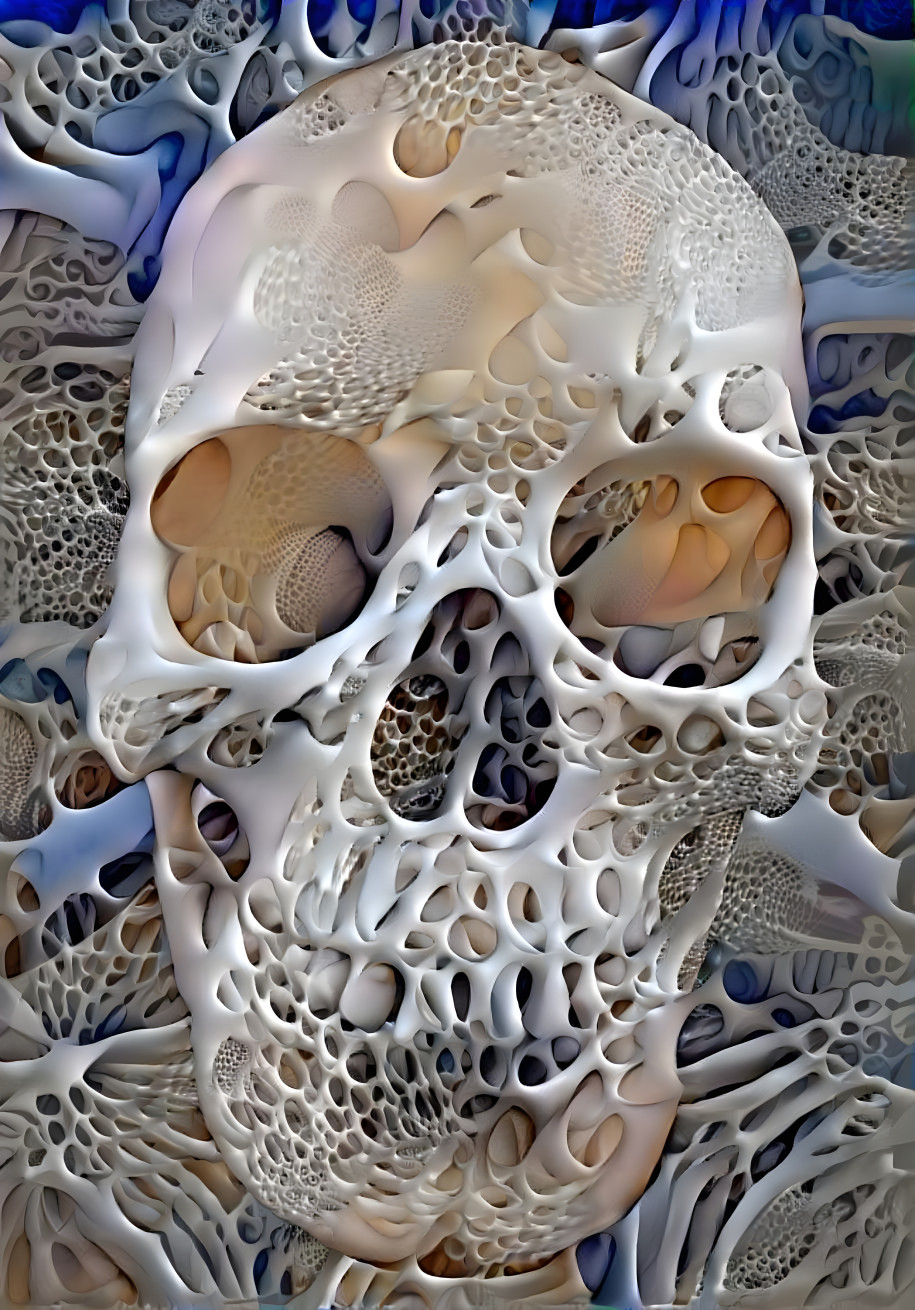 Porous Skull