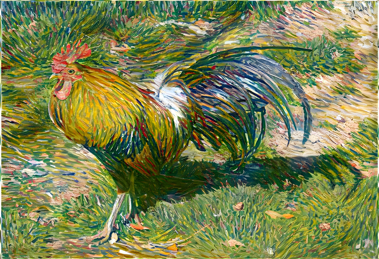 Impressions on a Rooster