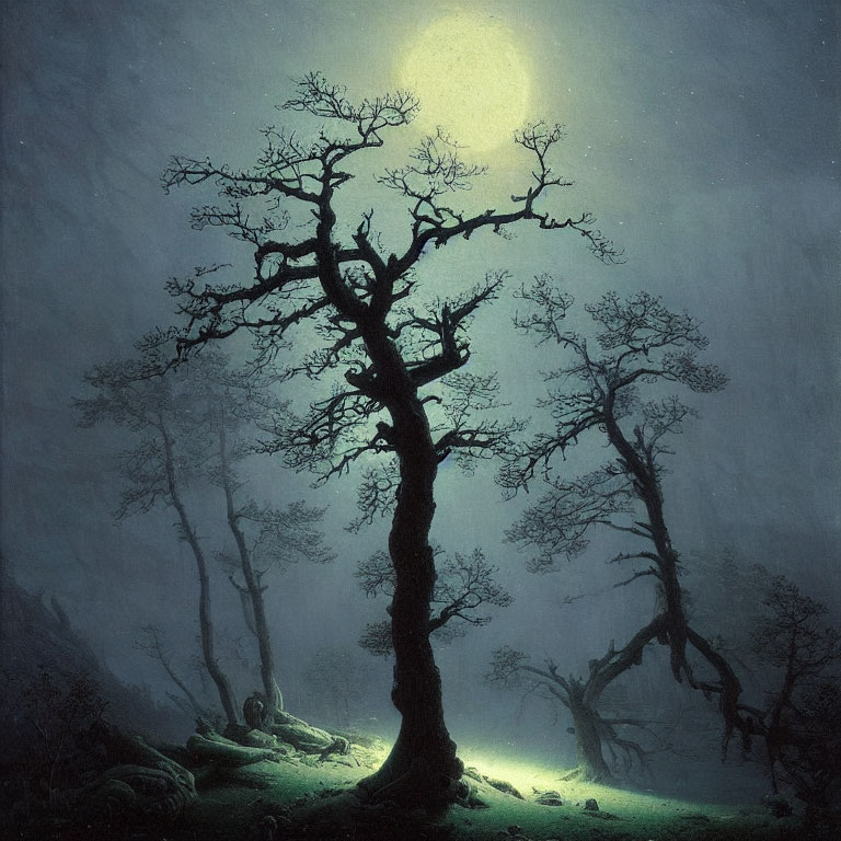 Mystical night scene with illuminated tree in foggy forest