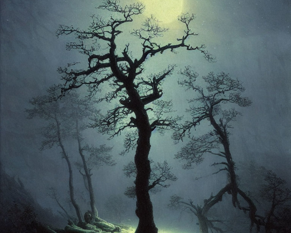 Mystical night scene with illuminated tree in foggy forest