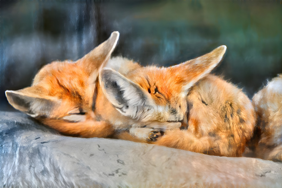 Sleeping foxes