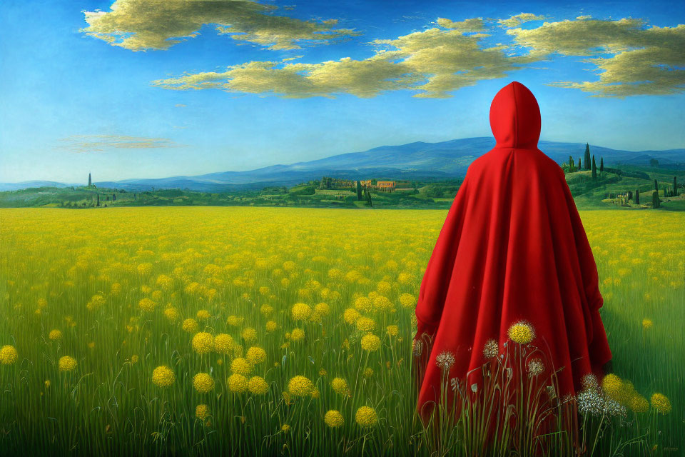 Person in red cloak in field of yellow flowers gazes at distant landscape with green hills, trees,