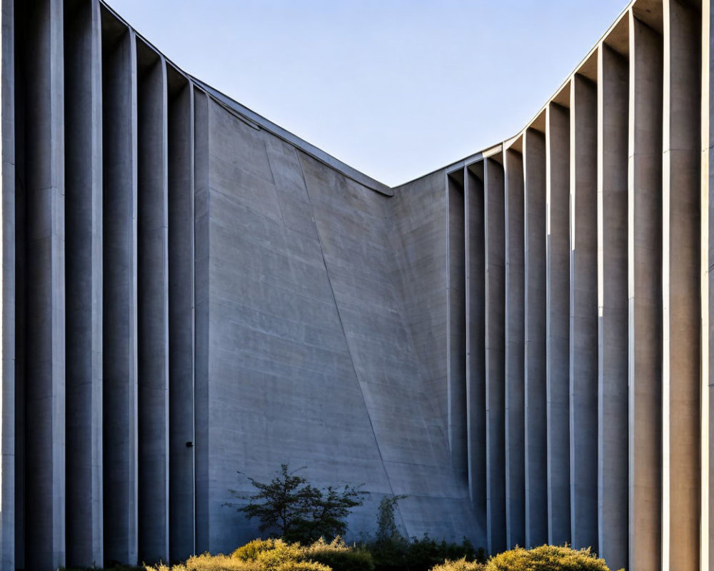 Modern Concrete Building with Vertical Lines and Tree in Soft Sunlight