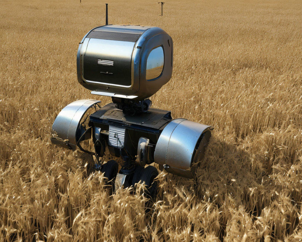 Retro-futuristic robot with TV head in golden wheat field