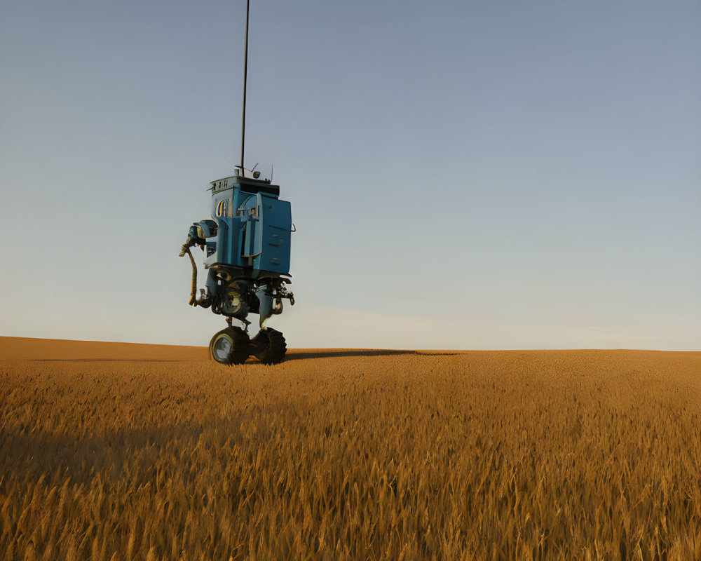 Blue futuristic robot exploring golden wheat field under clear sky