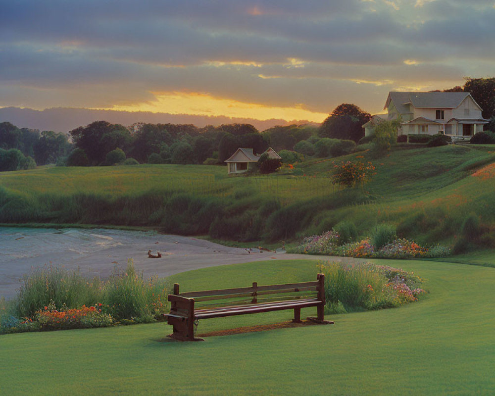 Tranquil sunset landscape with wooden bench, lush field, wildflowers, and distant houses