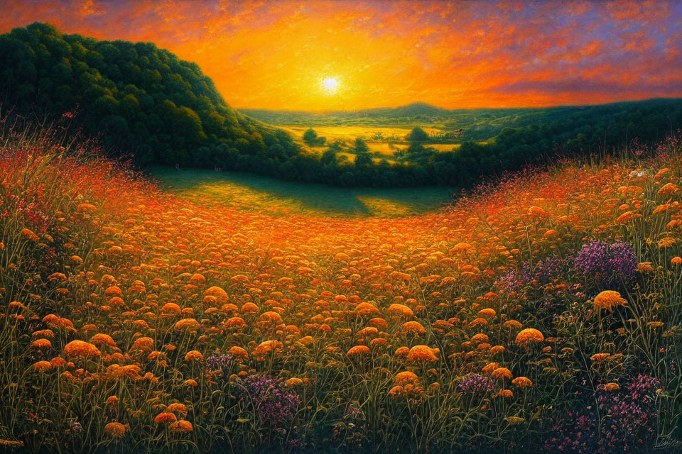 Colorful Sunset Landscape Painting with Orange Wildflower Field