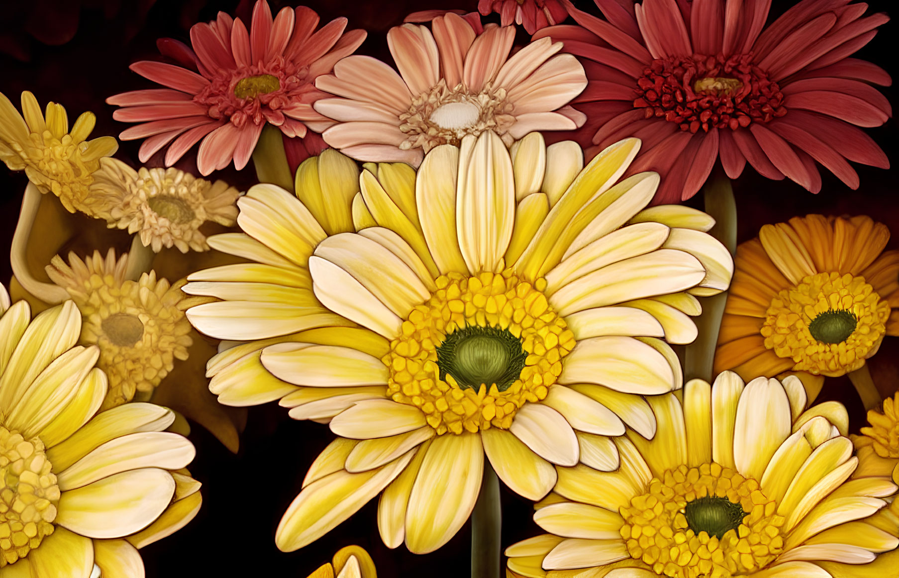 Vibrant Gerbera Daisies in Pink, Cream, and Yellow on Dark Background