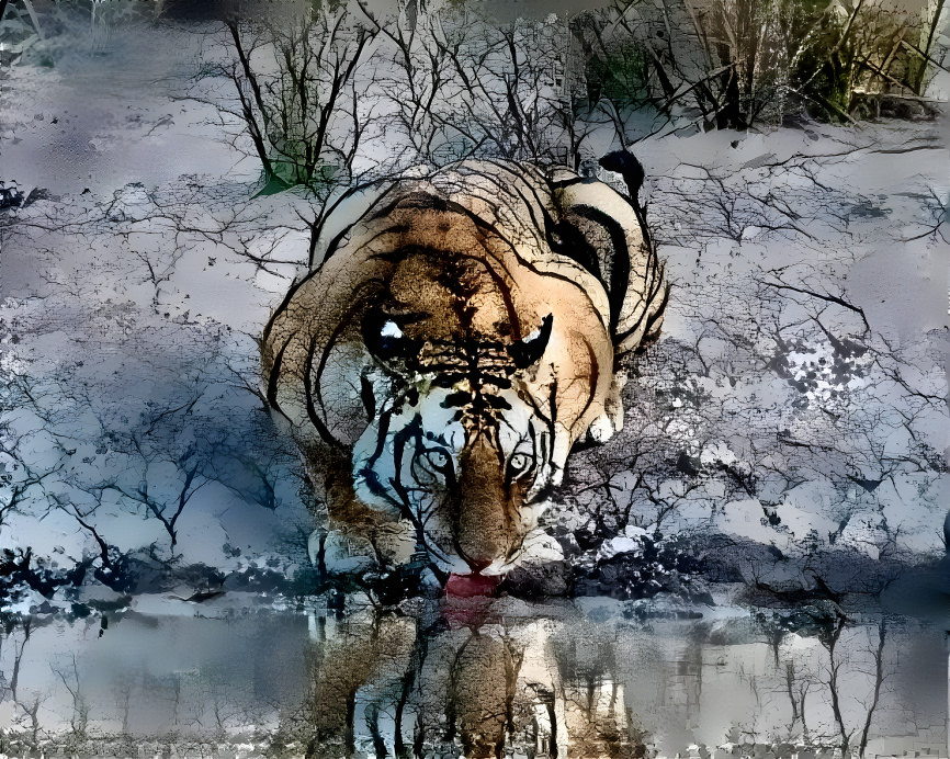 Tiger pool 