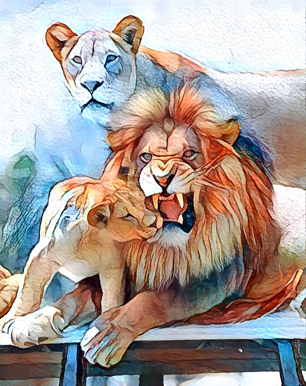 Lion Family 
