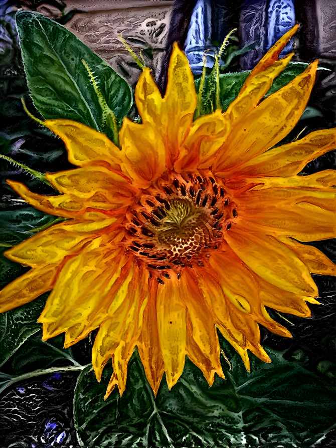 Sunflower time 