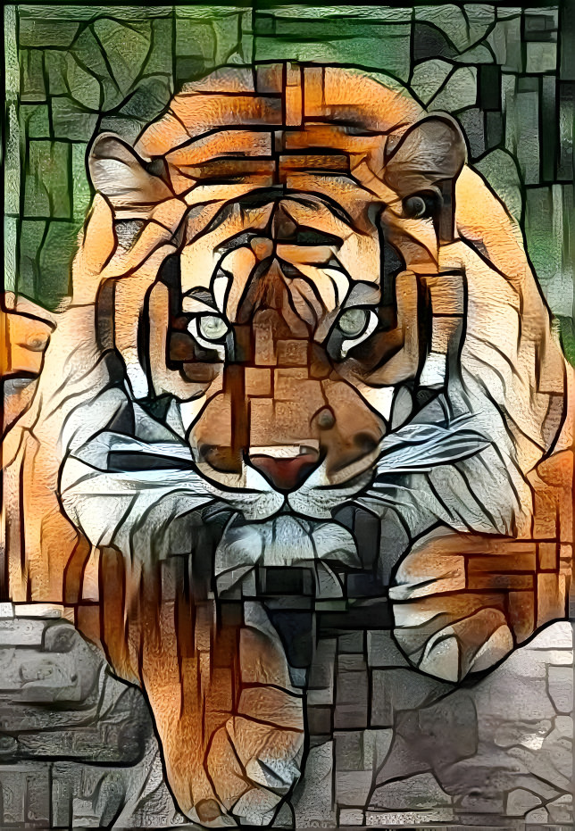 Tiger in the Window 