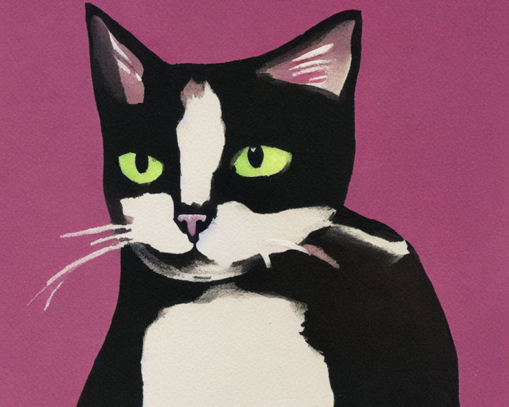Stylized black and white cat with green eyes on pink background