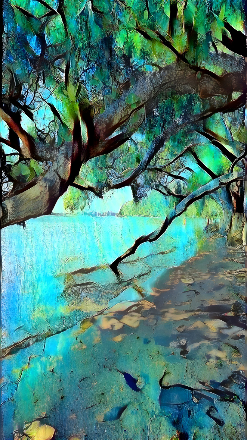 Beach and branches