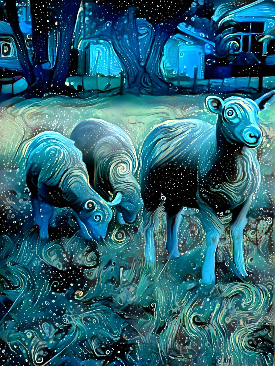 Sheep at the park 2