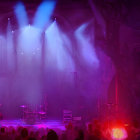 Colorful concert scene with blue and purple stage lights, musicians playing guitars, and an enthusiastic crowd.