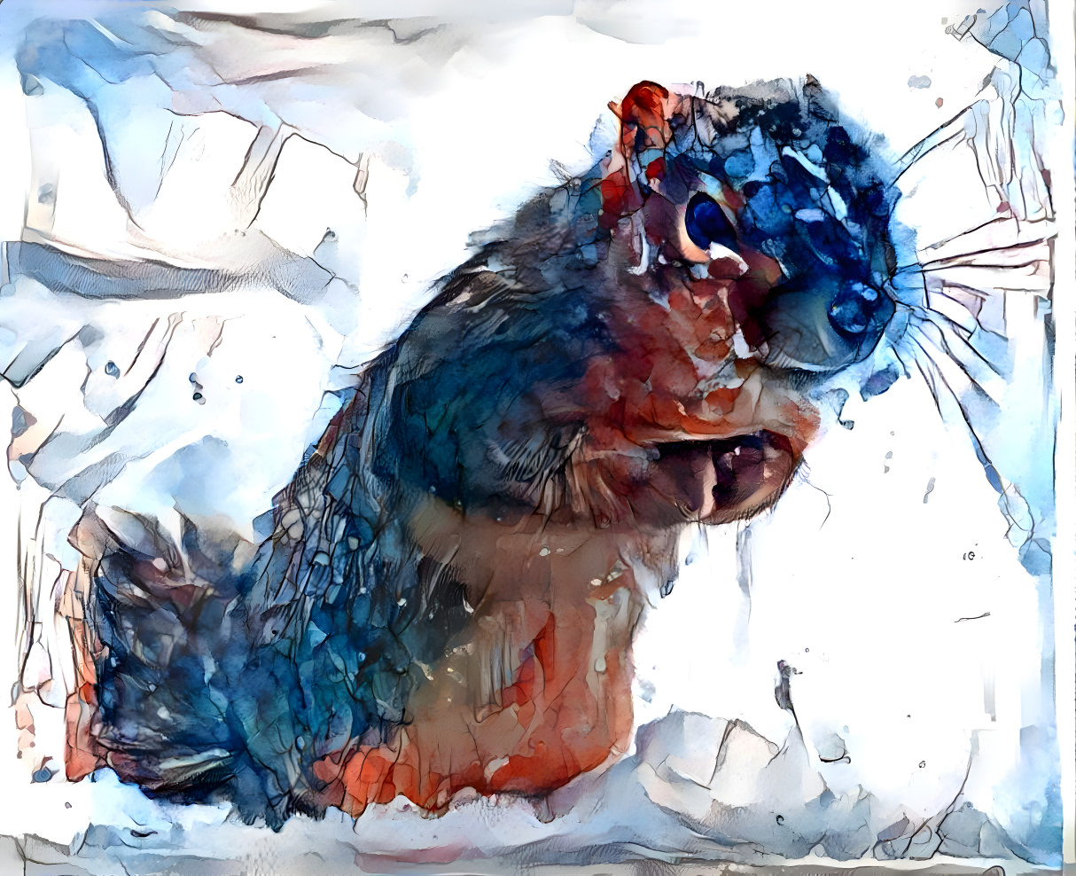 Squirrel in Ice
