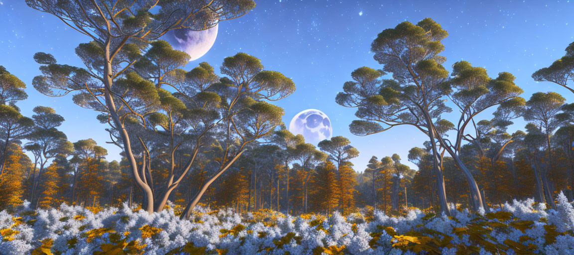 Serene forest under starry sky with two moons and tall trees