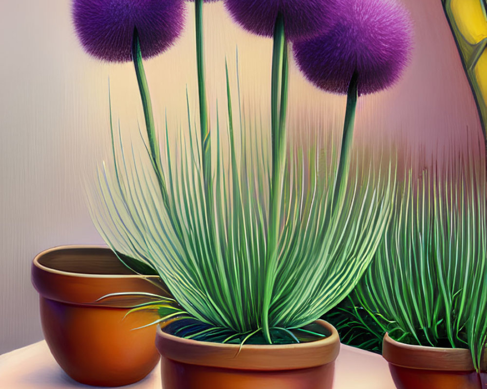 Vibrant purple spherical blooms in terracotta pots with green foliage on warm background