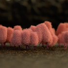 Surreal landscape with fluffy pink and red cotton candy trees on dark background
