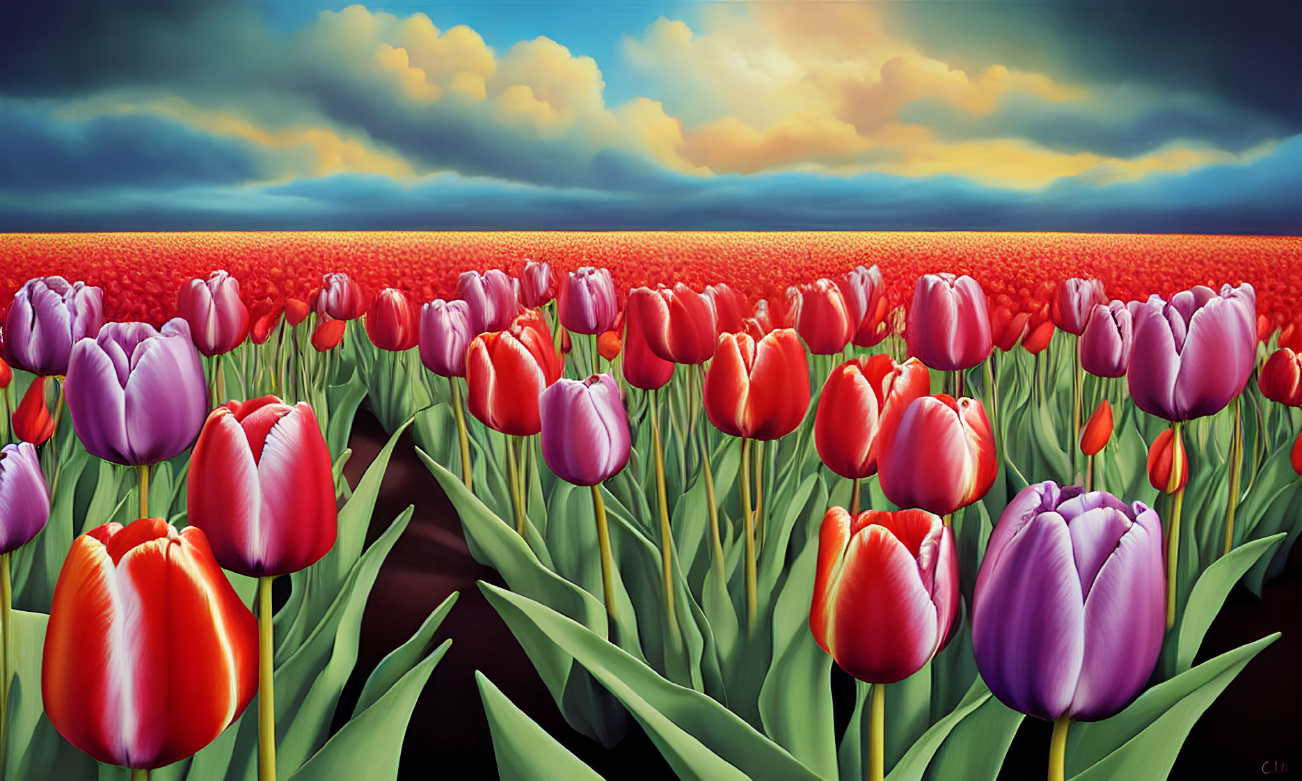 Colorful Field of Red and Purple Tulips under Dramatic Sky