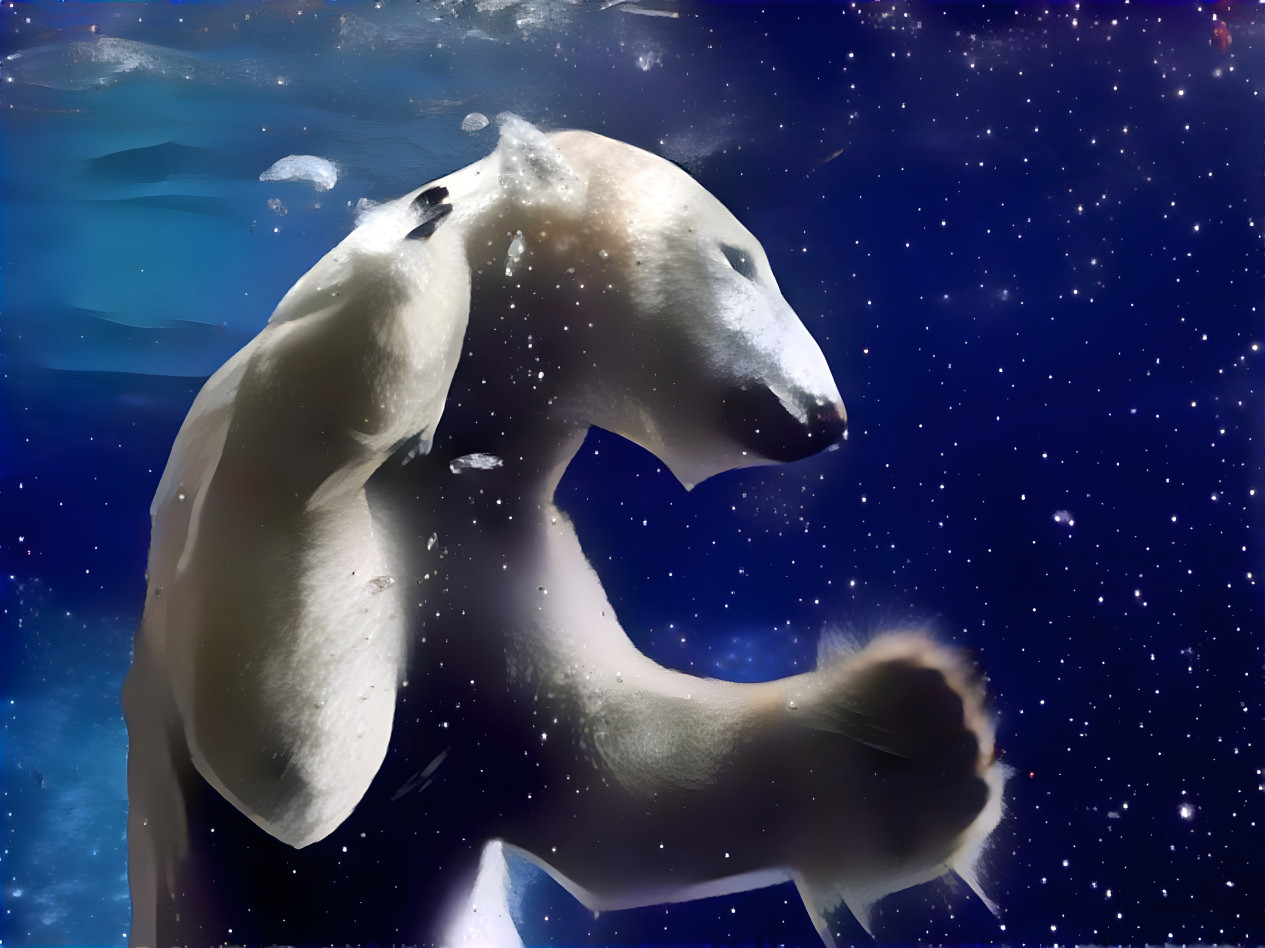 Water-Bear in Moon-Space