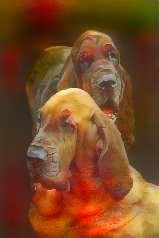 My bloodhound  VONDRACEK  & his daughter SYRENKA