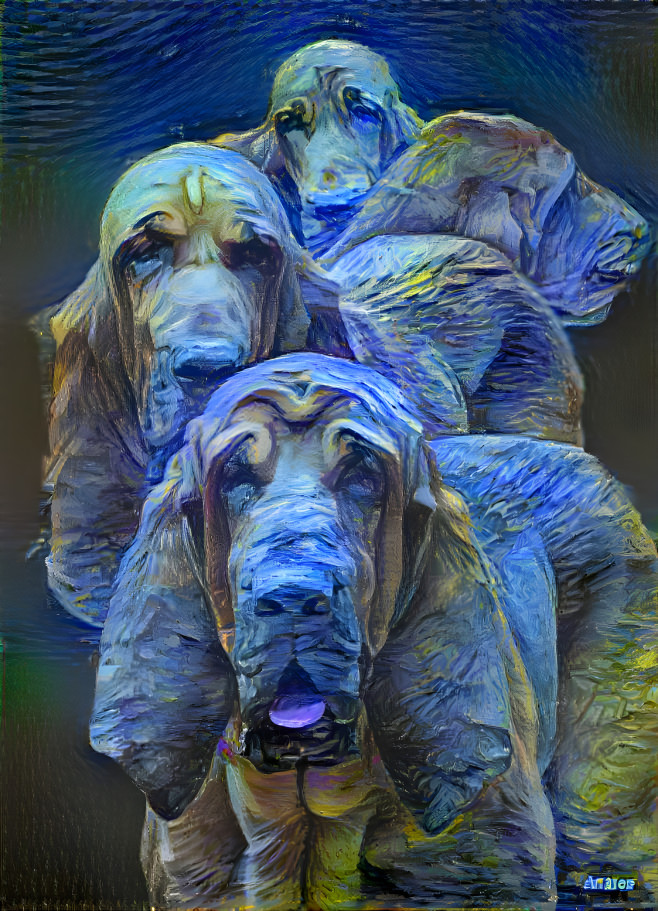 Aristos Bloodhounds: Bertie, Rudi, Iranda & Klara