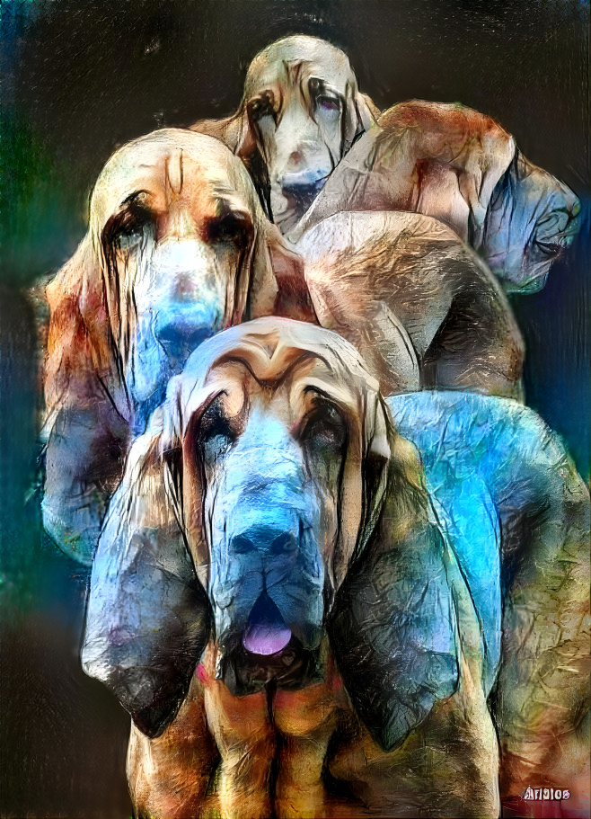 Aristos bloodhounds: Bertie, Rudi, Iranda, Klara